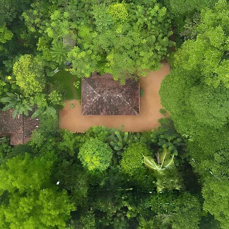 Swasthi Serviced Villa Kanjirapalli Eksteriør bilde