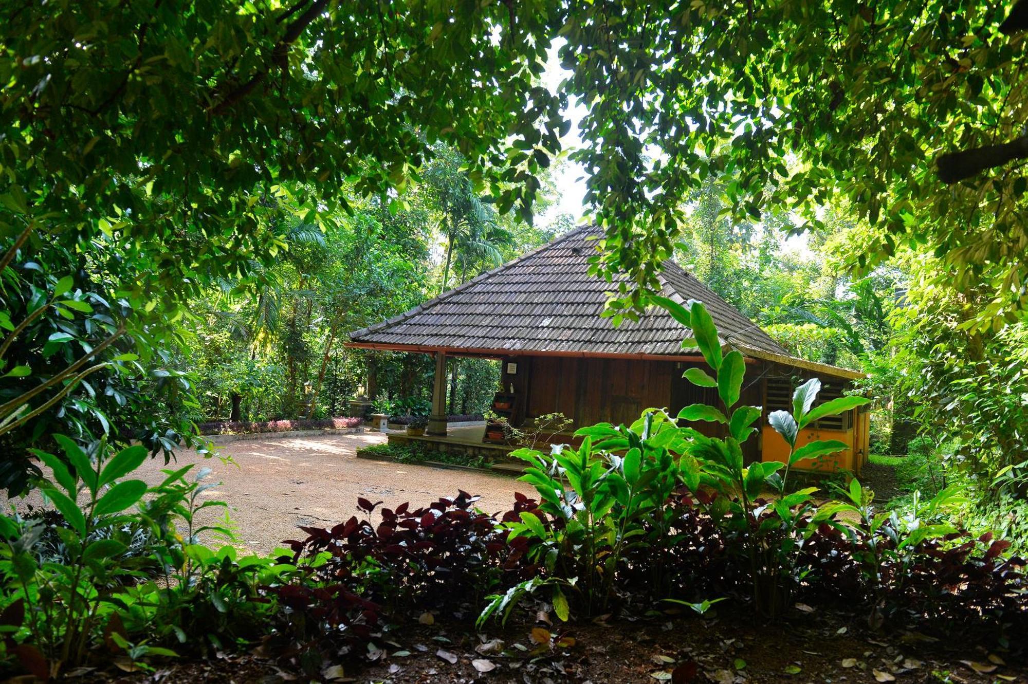 Swasthi Serviced Villa Kanjirapalli Eksteriør bilde